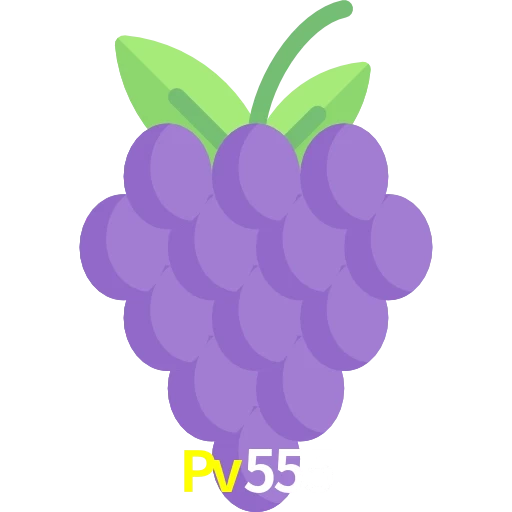 Pv555